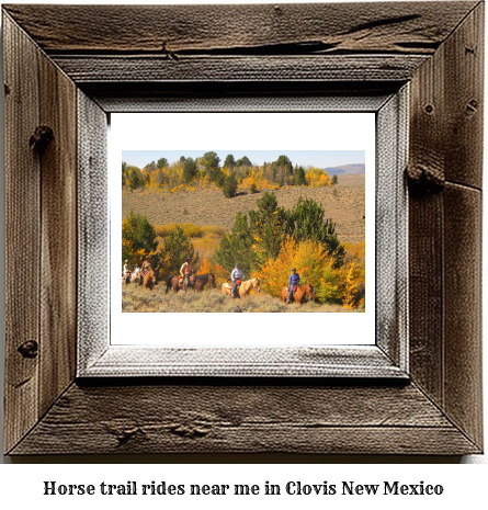 horse trail rides near me in Clovis, New Mexico